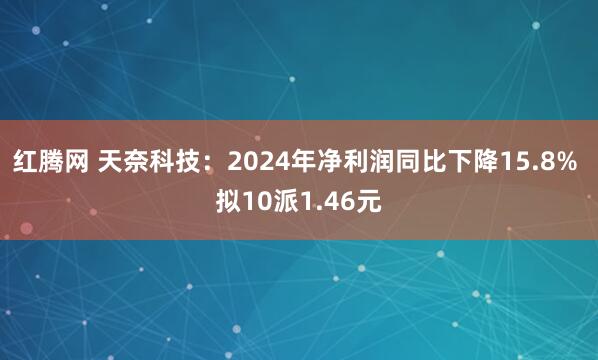 红腾网 天奈科技:2024年净利润同比下降15.8% 拟10派1.46元