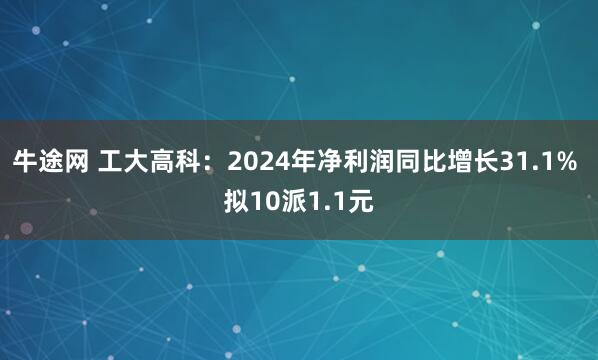 牛途网 工大高科：2024年净利润同比增长31.1% 拟10派1.1元