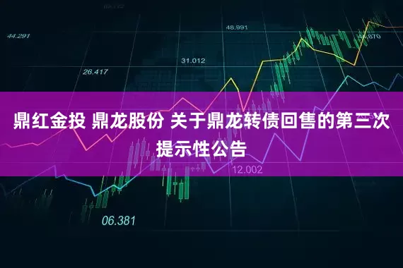 鼎红金投 鼎龙股份 关于鼎龙转债回售的第三次提示性公告